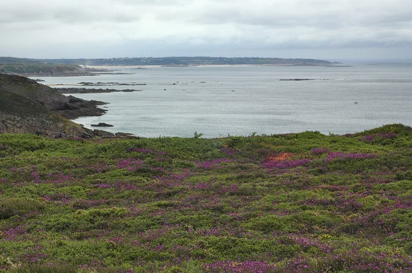 Cap Frehel (Brittany, France): the coast — Stock Photo, Image