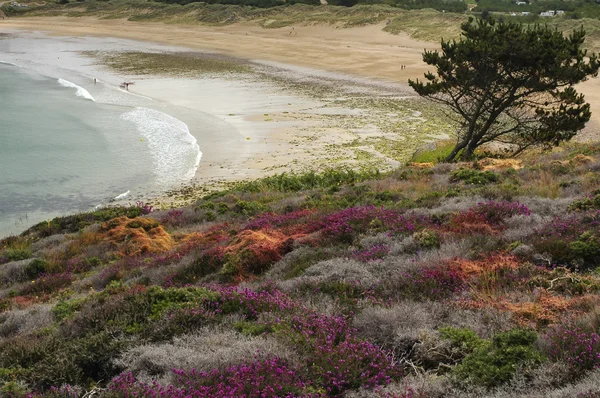 Cap Frehel (Bretanha, França): a praia — Fotografia de Stock