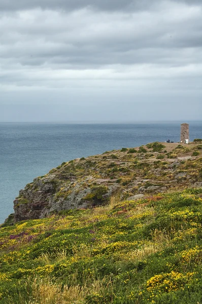 Cap Frehel (Bretanha, França): costa — Fotografia de Stock