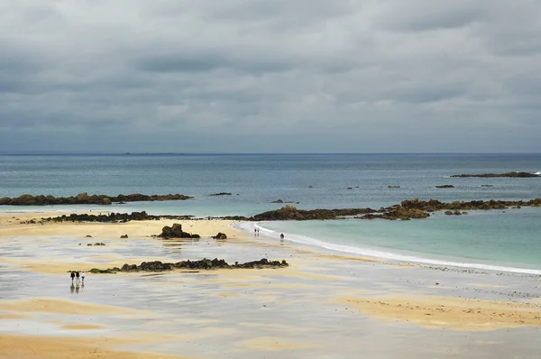 Cap Frehel (Bretanha, França): a praia — Fotografia de Stock