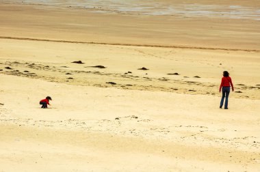Sables-d'Or-les-Pins (Brittany, Fransa).: plaj