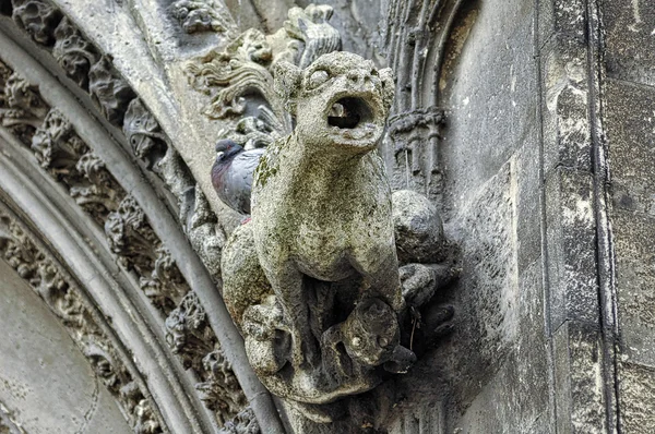 Caen (Normandy(: gargoyle — Stockfoto