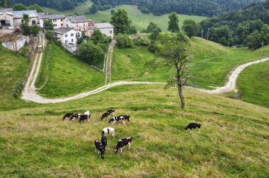 Peyzaj Lessinia (Veneto, İtalya)