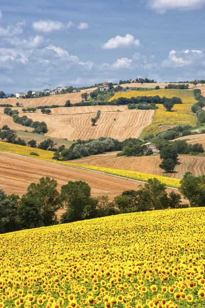 Paisagem rural em Marches (Itália ) — Fotografia de Stock