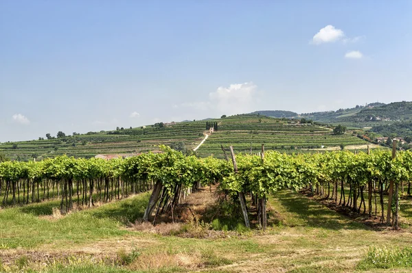 Paysage à Lessinia (Vénétie, Italie) ) — Photo