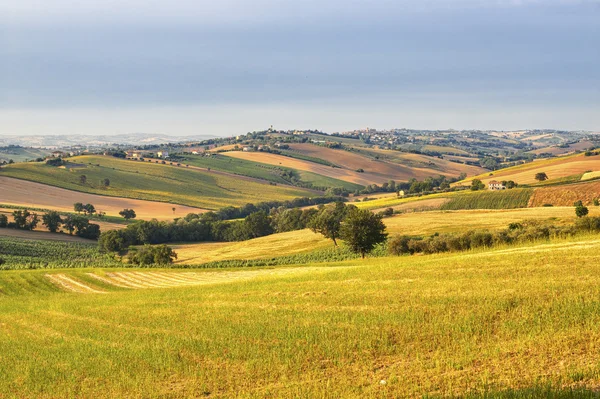 Paesaggio rurale in Marche (Italia) ) — Foto Stock