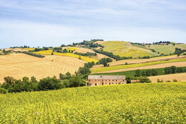 Paisaje rural en Marcas (Italia) ) — Foto de Stock