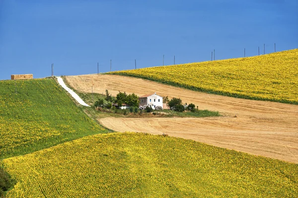 Land landskapet i Marche (Italien) — Stockfoto