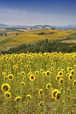 Yürüyüşleri (İtalya ülke peyzaj)