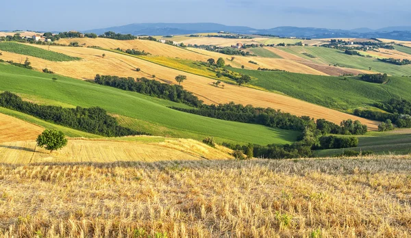 Paisaje rural en Marcas (Italia) ) — Foto de Stock