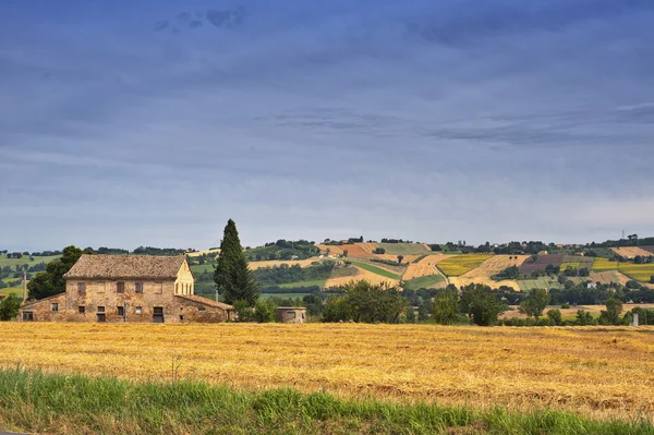 Paysage rural en Marches (Italie) ) — Photo