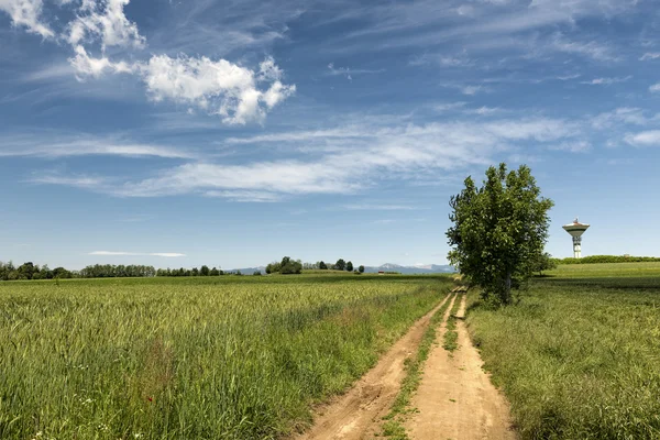Country landscape in Brianza (Italy) — Stock Photo, Image