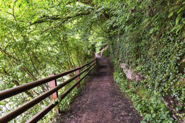 Bisiklet yolu Lambro Nehri'nin (Brianza, İtalya)