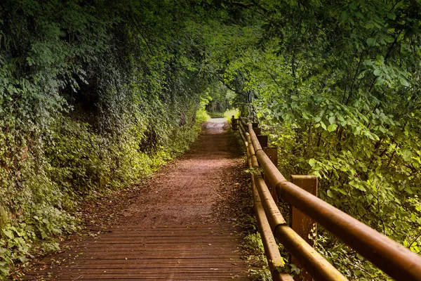 Piste cyclable de la rivière Lambro (Brianza, Italie ) — Photo