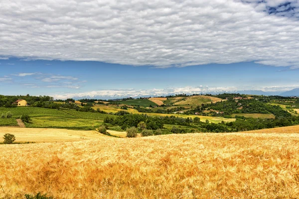 Monferrato （意大利） ︰ 景观 — 图库照片