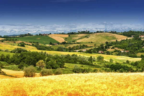 Monferrato (Itálie): krajina — Stock fotografie