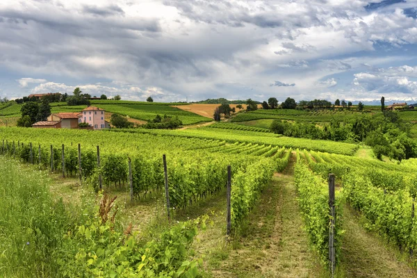 Monferrato (Italy): landscape — Stock Photo, Image