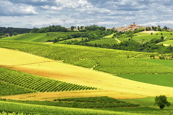 Monferrato (İtalya): manzara