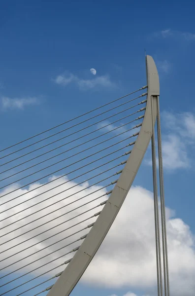 Valencia (İspanya), City of Arts and Sciences — Stok fotoğraf