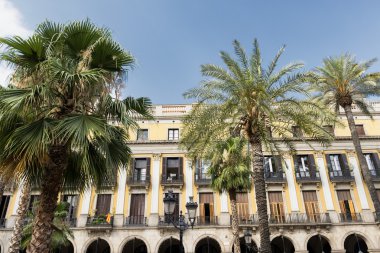 Barcelona (İspanya): Royal Square