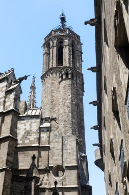Barcelona (İspanya): Gotik Semti