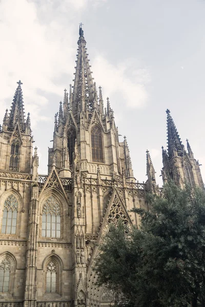 バルセロナ (スペイン): ゴシック様式の大聖堂 — ストック写真