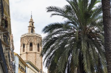 Valencia (İspanya), Katedrali