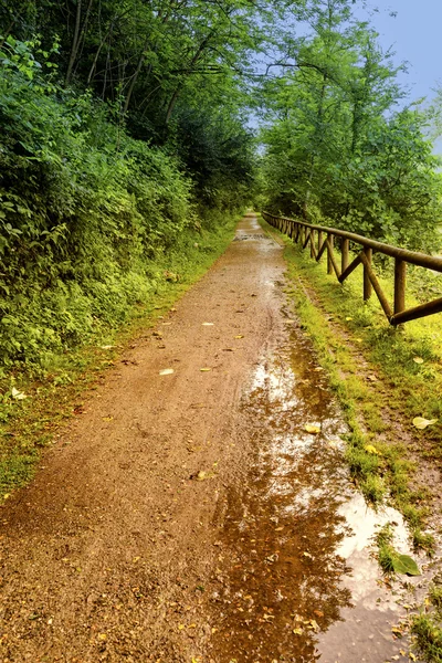 Radweg des olona flusses (italien) — Stockfoto