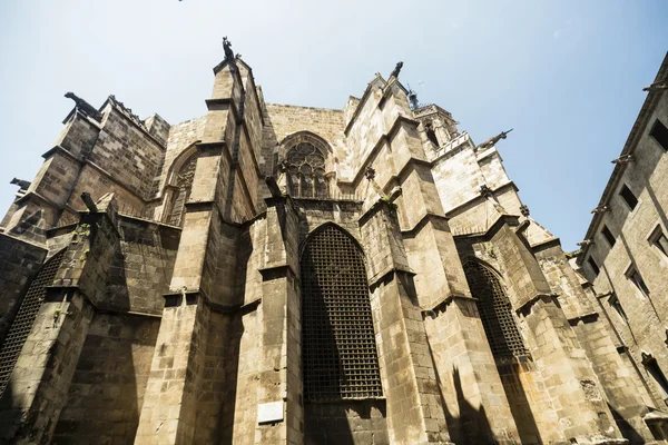 바르셀로나 (스페인): 고딕 대성당 — 스톡 사진