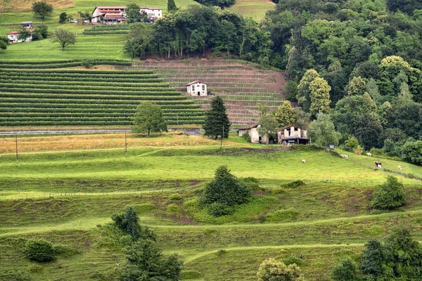 Landschap in de buurt van Arogno (Ticino, Zwitserland) — Stockfoto