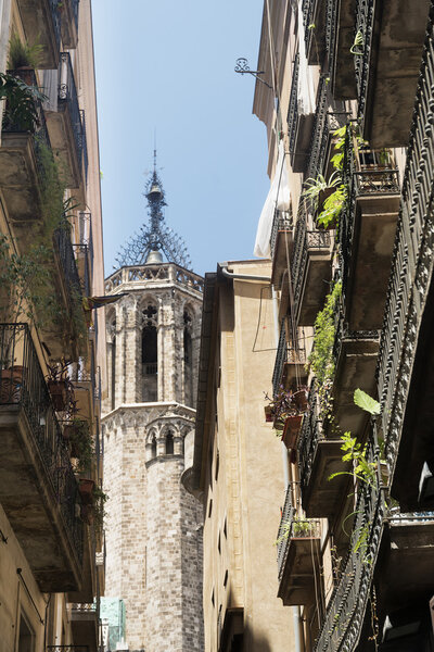 Barcelona (Spain): gothic quarter