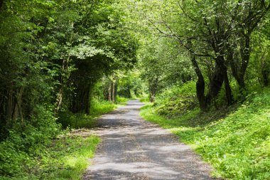 Sentiero della Valtellina (Lombardy, İtalya)