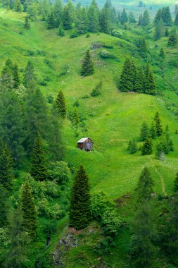 Yaz aylarında Giau geçidi boyunca uzanan dağ manzarası, Dolomites, Belluno, Veneto, İtalya.