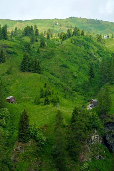 Berglandschap Zomer Langs Weg Naar Giau Pas Dolomieten Provincie Belluno — Stockfoto