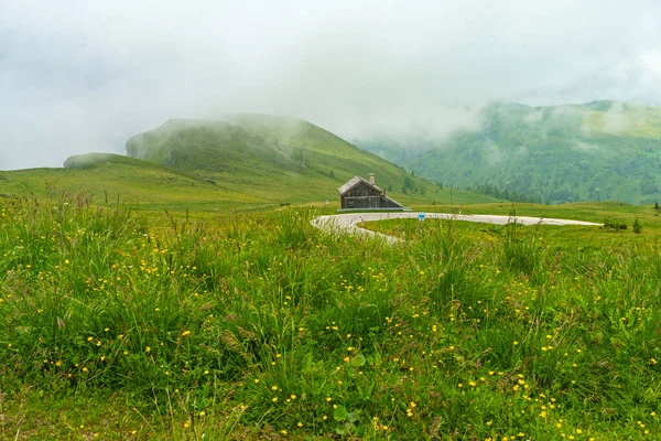 意大利韦尼托Belluno省Dolomites通往Giau Pass公路沿线的夏季山区景观 — 图库照片