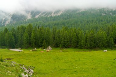 Yaz aylarında Giau geçidi boyunca uzanan dağ manzarası, Dolomites, Belluno, Veneto, İtalya.