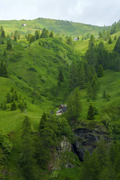 夏の山の風景は ジアウ峠 ドロマイト ベルーノ州 ヴェネト州 イタリアへの道に沿って — ストック写真