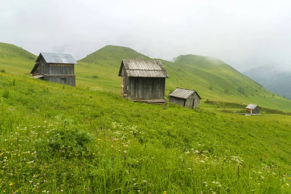 Berglandschaft Sommer Entlang Der Straße Zum Giau Pass Dolomiten Provinz — Stockfoto