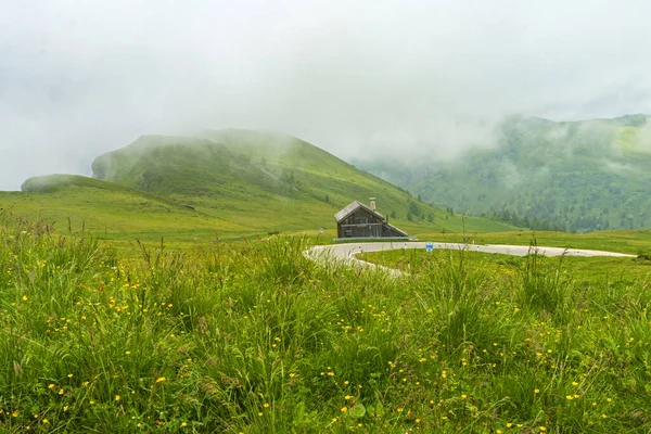 Berglandschaft Sommer Entlang Der Straße Zum Giau Pass Dolomiten Provinz — Stockfoto