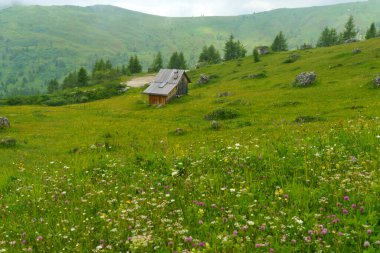 Yaz aylarında Giau geçidi boyunca uzanan dağ manzarası, Dolomites, Belluno, Veneto, İtalya.