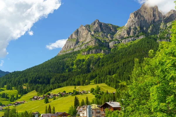 意大利韦尼托Belluno省Dolomites的Selva Cadore通往Forcella Staulanza公路沿线的夏季山区景观 — 图库照片