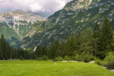 Yaz aylarında Landro Vadisi, Dolomitler, Bolzano ili, Trentino Alto Adige, İtalya, Misurina 'dan Dobbiaco' ya uzanan dağ manzarası