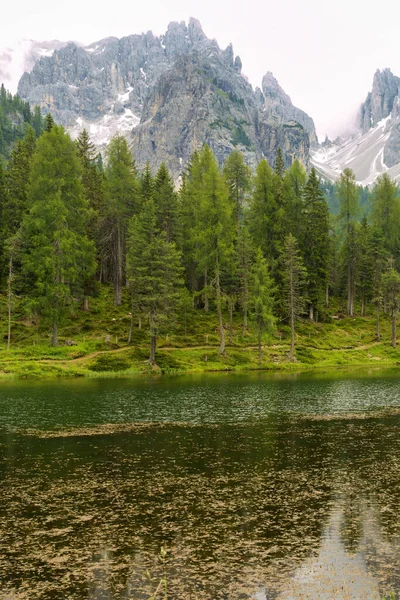 Lac Misurina Belluno Vénétie Italie Dans Les Dolomites Été — Photo