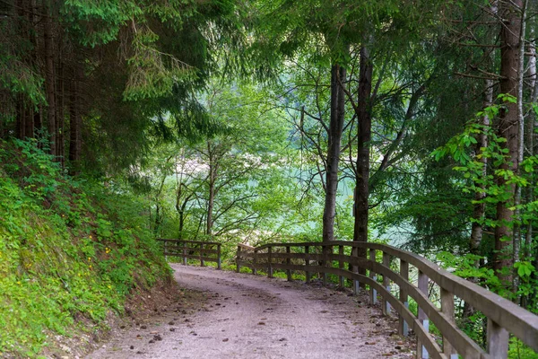 Radweg Durch Das Pustertal Provinz Bozen Trentino Südtirol Italien Berglandschaft — Stockfoto