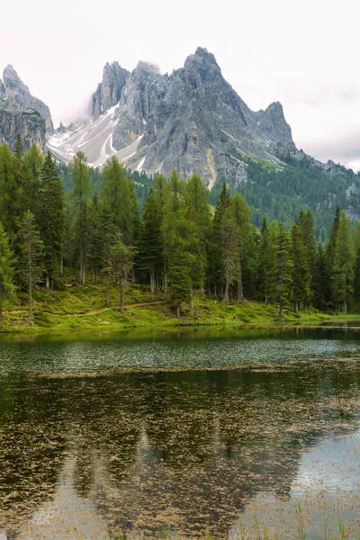 Lac Misurina Belluno Vénétie Italie Dans Les Dolomites Été — Photo