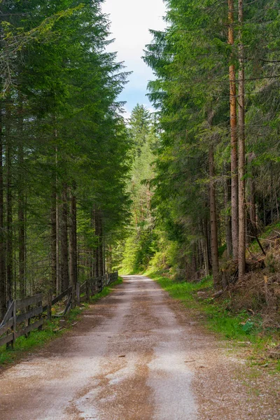 Paisagem Montanhosa Verão Longo Estrada Vale Landro Dolomitas Província Bolzano — Fotografia de Stock