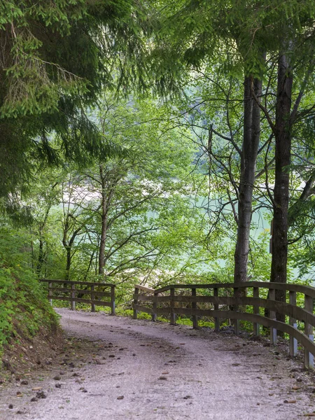 Radweg Durch Das Pustertal Provinz Bozen Trentino Südtirol Italien Berglandschaft — Stockfoto