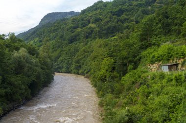 Isarco Vadisi Bisiklet Yolu, Bolzano ili, Trentino Alto Adige, İtalya. Nehir.