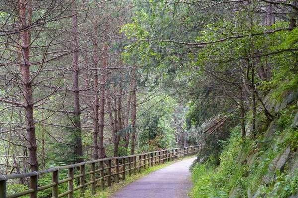 Pista Ciclabile Della Val Pusteria Provincia Bolzano Trentino Alto Adige — Foto Stock