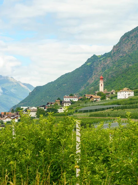 Letní Krajina Podél Cyklostezky Údolí Venosta Řeky Adige Provincii Bolzano — Stock fotografie